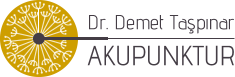 demettaspinar.com